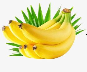 最新精品香蕉图片小说,一场视觉与味蕾的双重盛宴