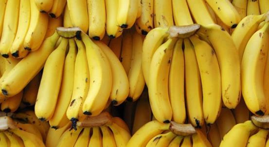 久久青草香蕉精品