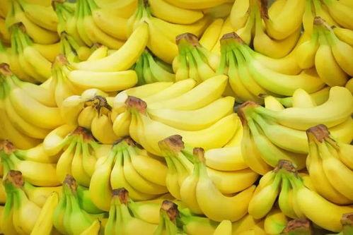亚洲精品优v香蕉