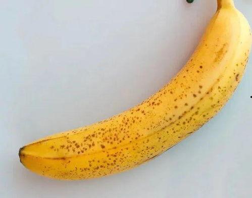 精品香蕉欧美
