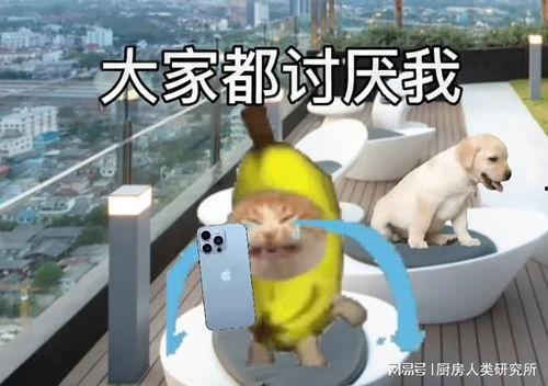 香蕉猫视频